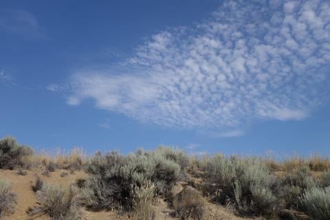 Pretty clouds over the sagebrush.